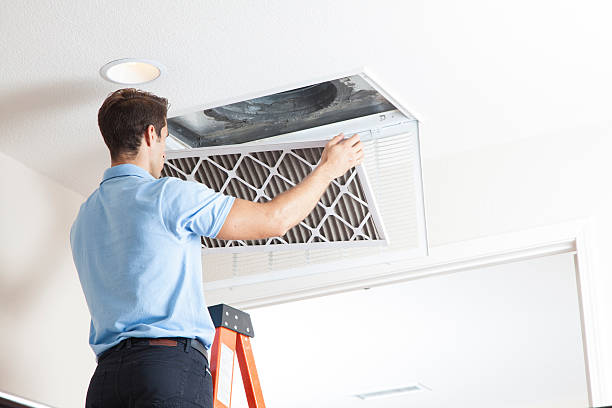 Best Air quality test  in Harbour Heights, FL